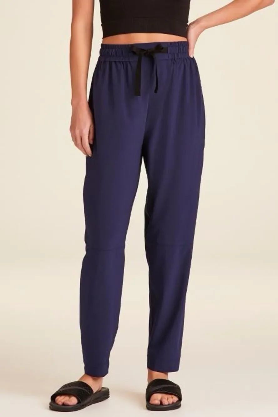 ✨ALALA Commuter Navy Sz 1X Pants✨